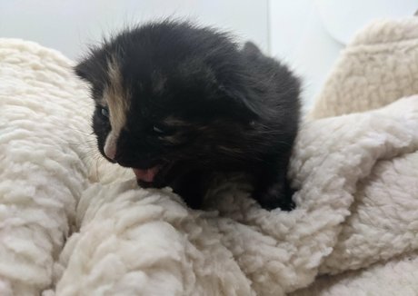 sqregina sexy actress galleries