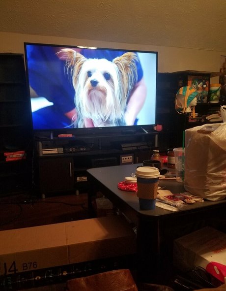 sqregina nude model gallery