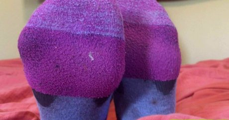 bellsfeetandass beautiful pornstar galleries