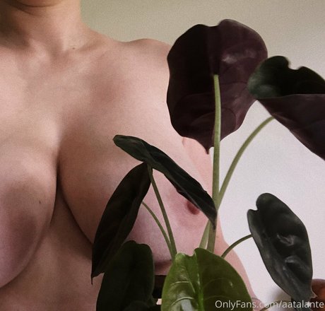 aatalante pornstar top picture