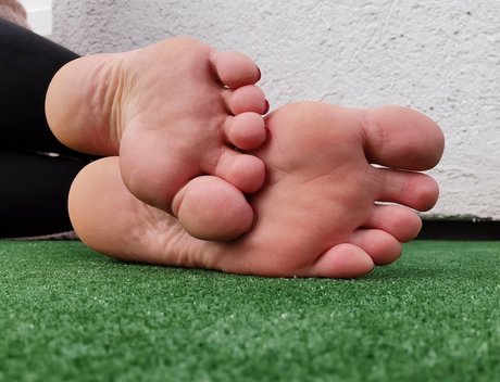 msdidi k model nice image