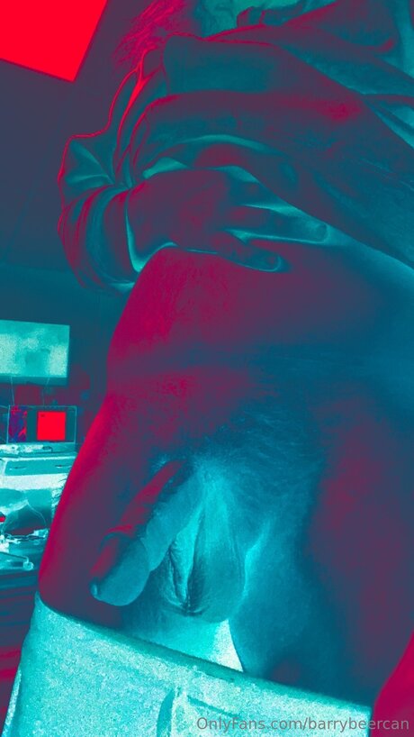 Barry Beercan pornstar art galleries