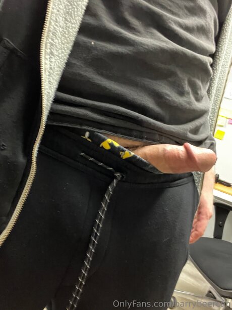 Barry Beercan adult star img