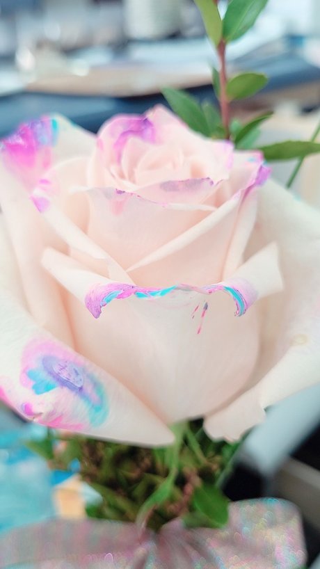 bigeddygurl pornstar free galleries