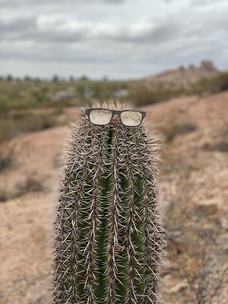 Only D exclusive pornstar gallery