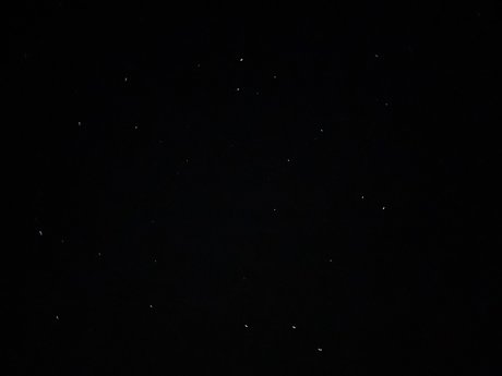 Laila Rose star beautiful img