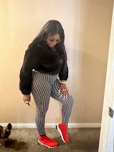 Bentley nice model galleries