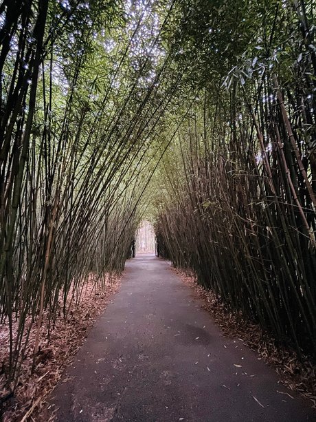 Miky 88 art actress archive