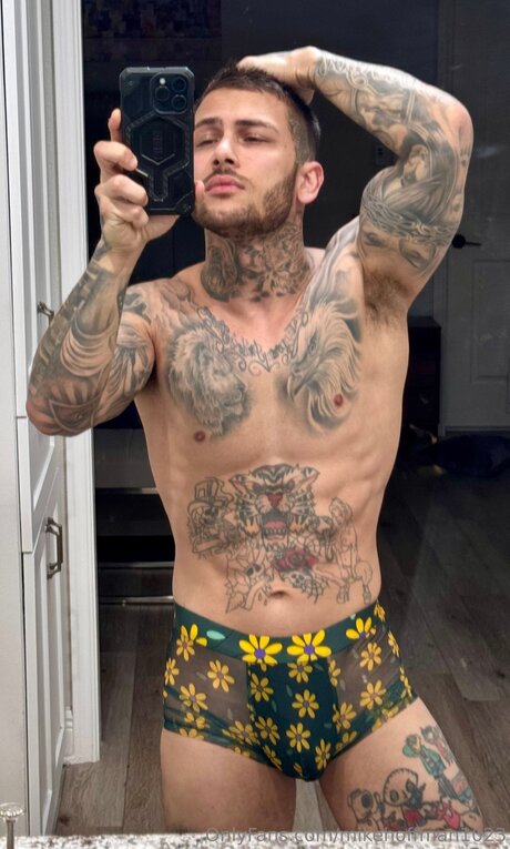 Michael A Hoffman high quality star galleries