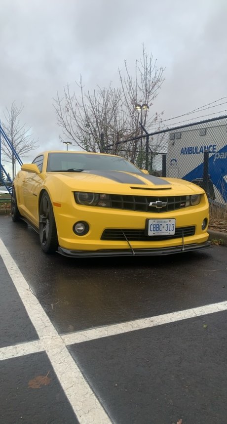 Cassian Gunawardana nice pornstar gallery