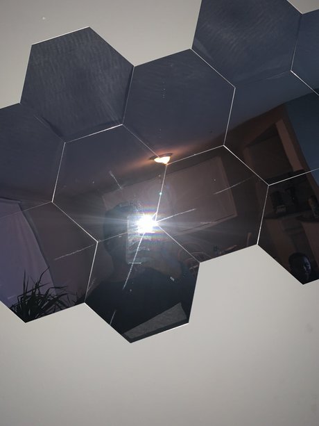 Blanco star porn photo