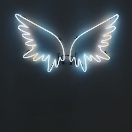 Blanco star free archive