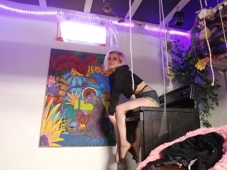 Megan SkittyKat star best picture