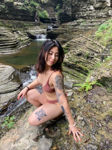 Minhabod art pornstar galleries