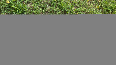 Mina Fimmel free model pic