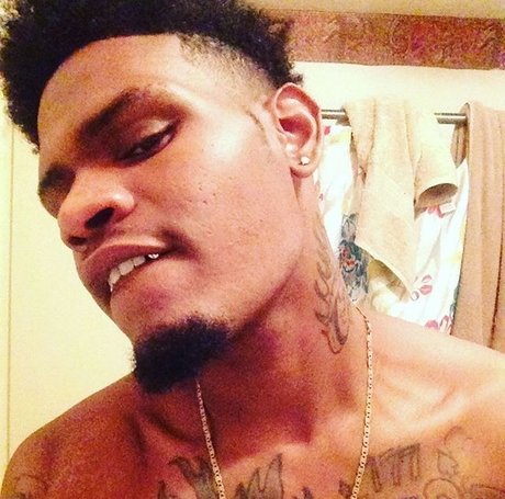 Capo star beautiful galleries