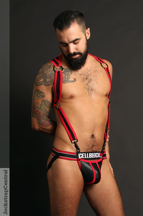 Andrew 3000 art star galleries