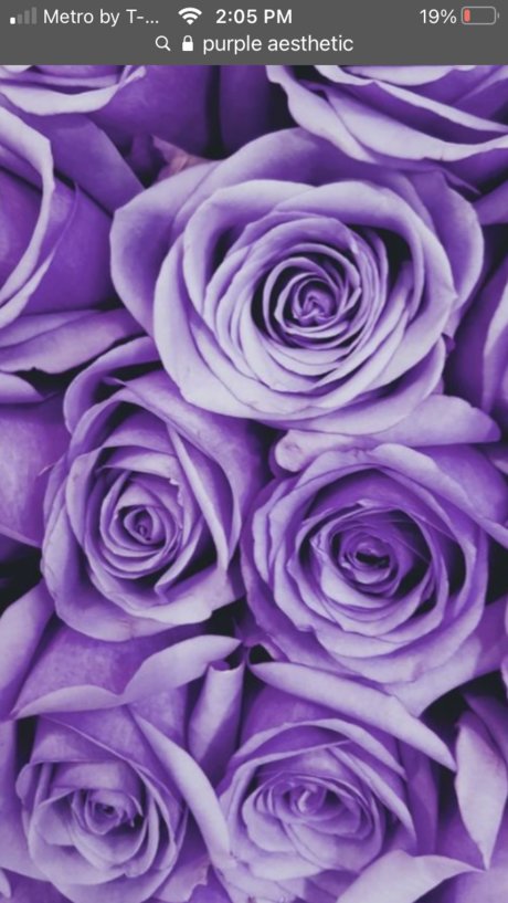 Miley World pornstar sex gallery