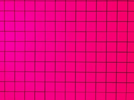 Milein top model image