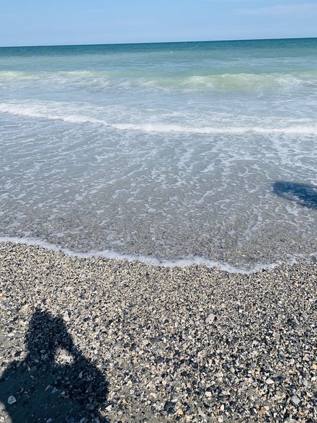 Phat Ass White Girl porn model gallery