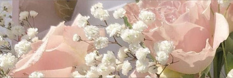 jai_ sexy pornstar archive