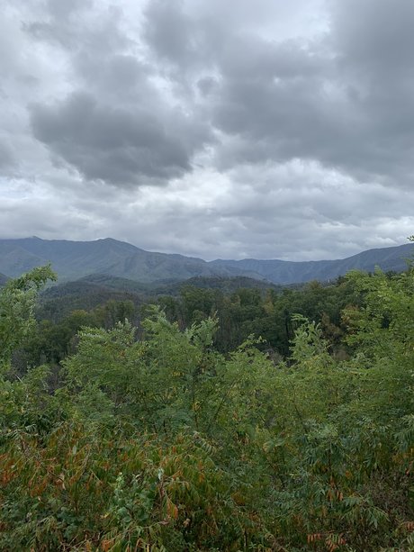 Cd Natalie free star img