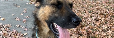 aerie_ perfect star picture