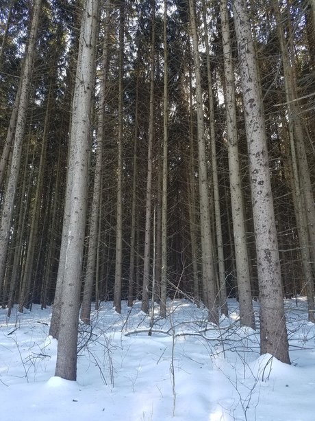 Jason Slate nude star img