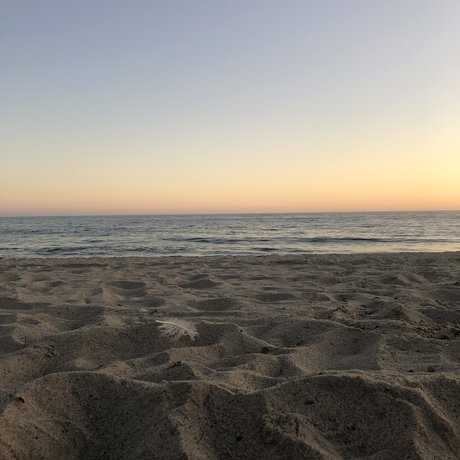 Jarred pornstar nudes pic