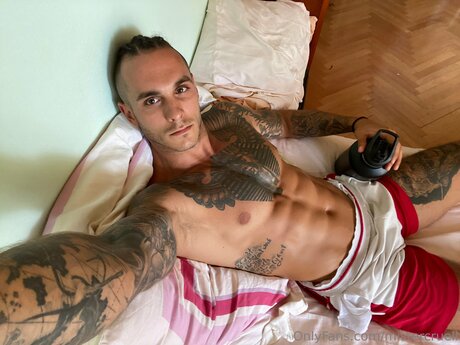 Mister Cruell star free picture