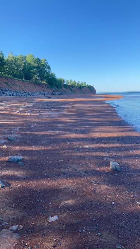 Tali_ star nudes pictures