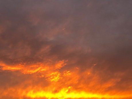 Isabella Fontenna_ model hot pic