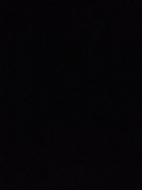 Jayden Austin top actress archive