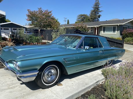 Hung TS Lora XXX best star photo