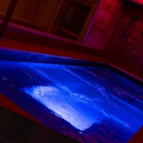 _Karo Ari_ exclusive star images