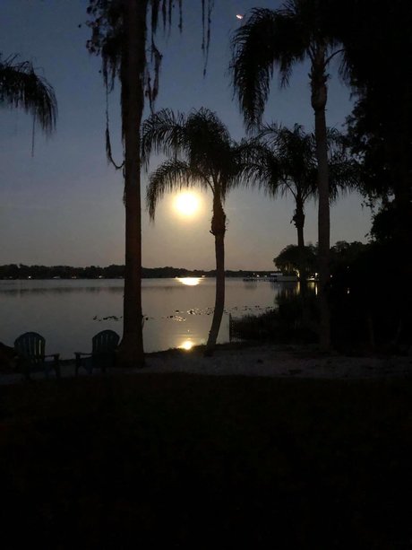 Kushqueen420 pornstar free pictures