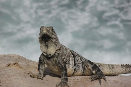 Gab nudes star gallery