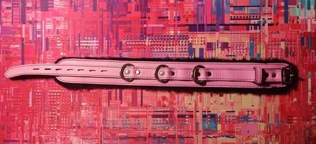 Moist Vibrators top model photos