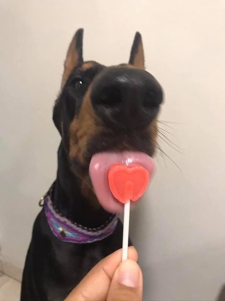 john alissa model high quality pic