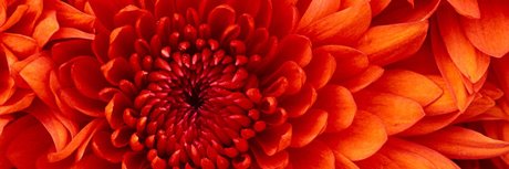 JennaLee hd star img