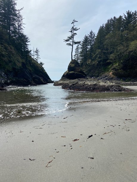 Mr SBSC pretty actress images