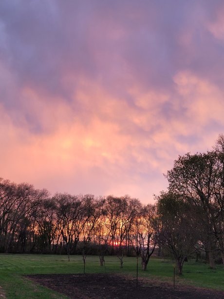 Mr Driverman model erotic gallery