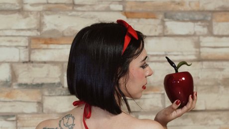 MPZFC star art galleries