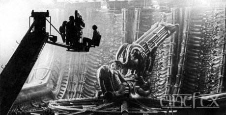 Trevor N star adult photo