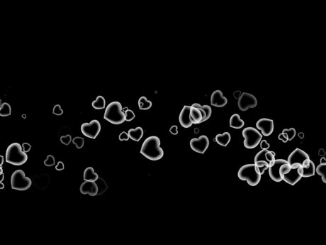 Honda beautiful pornstar archive