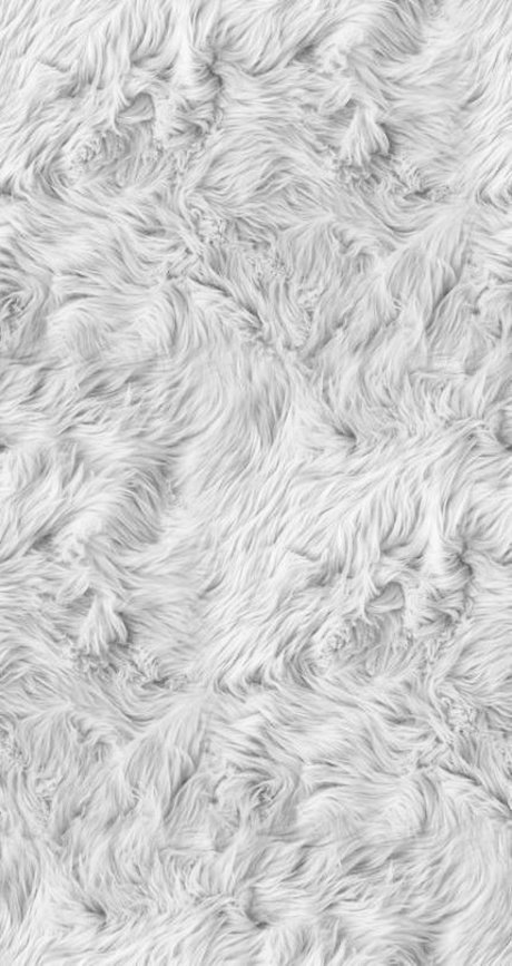 Florci best star photos