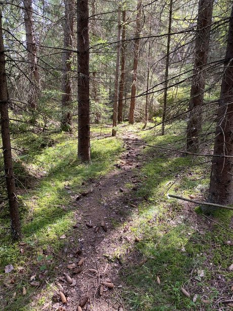 MaryKay model best pic