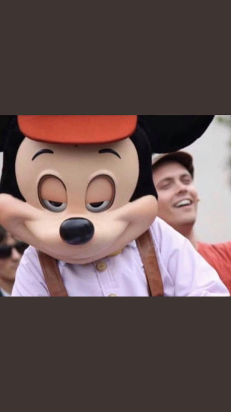 Longdingdongding high quality star gallery