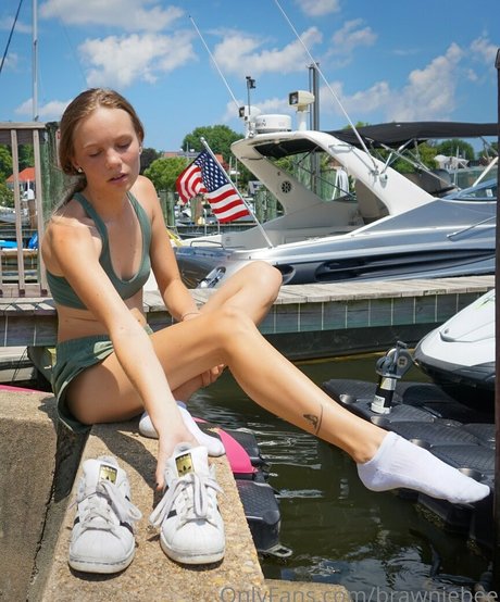 Brawniebee art star gallery