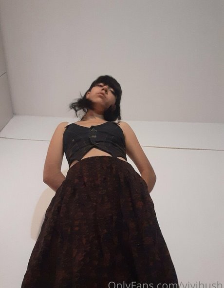 vivibush pornstar nude photos